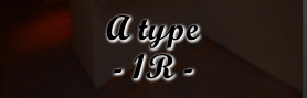 A type(P[)̏ڍׂ͂炩炲